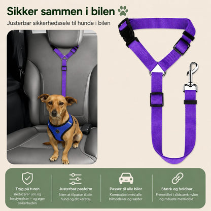 PoteNord™ Matchende Snor