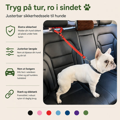 PoteNord™ Matchende Snor
