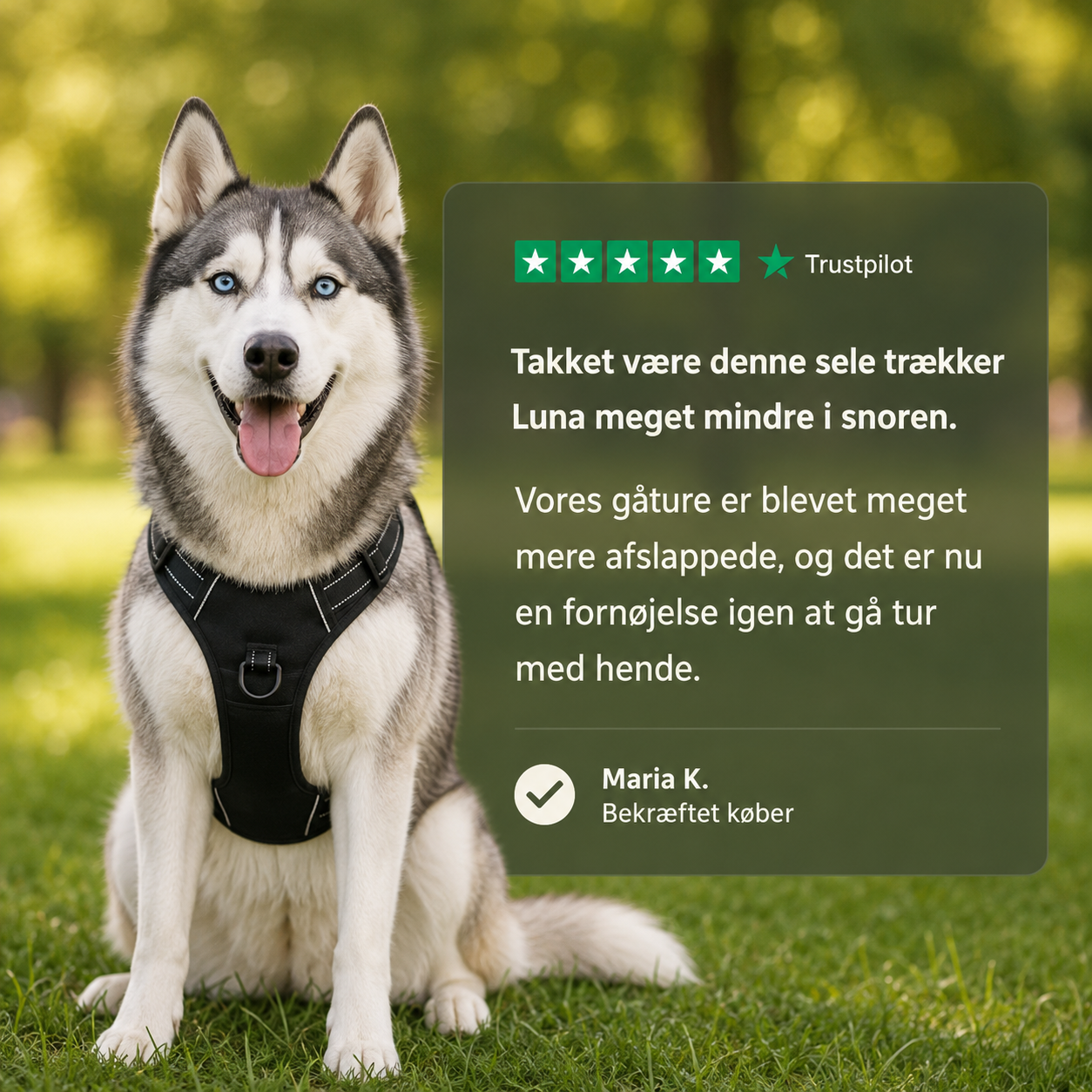 PoteNord™ Anti-Træk Hundesele