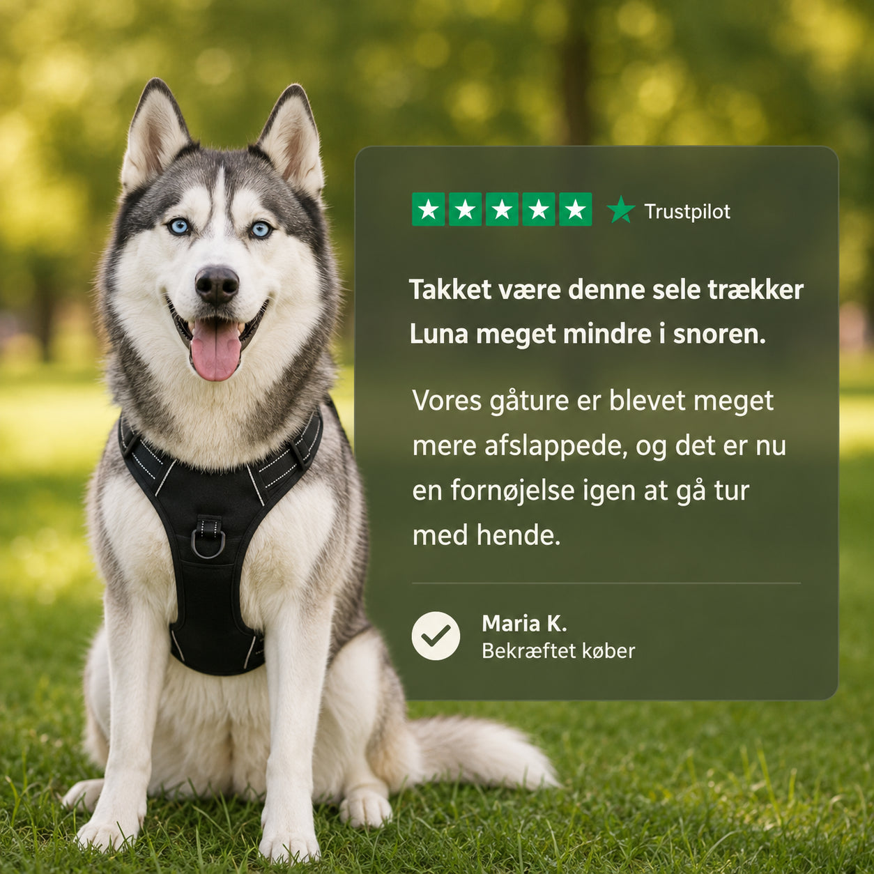 PoteNord™ Anti-Træk Hundesele