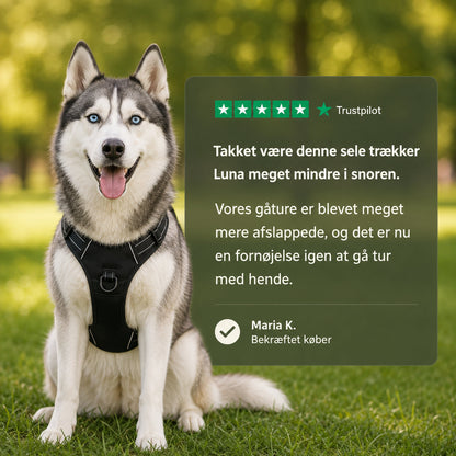 PoteNord™ Anti-Træk Hundesele